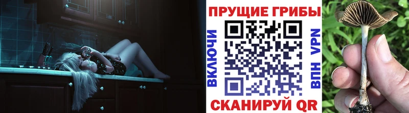Купить закладки  Фатеж  Галлюциногенные грибы мицелий 